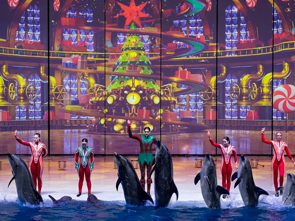 Новогоднее шоу в Москвариуме "Кощей" 2025-2026